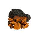 Chaga