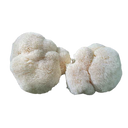Lion's Mane